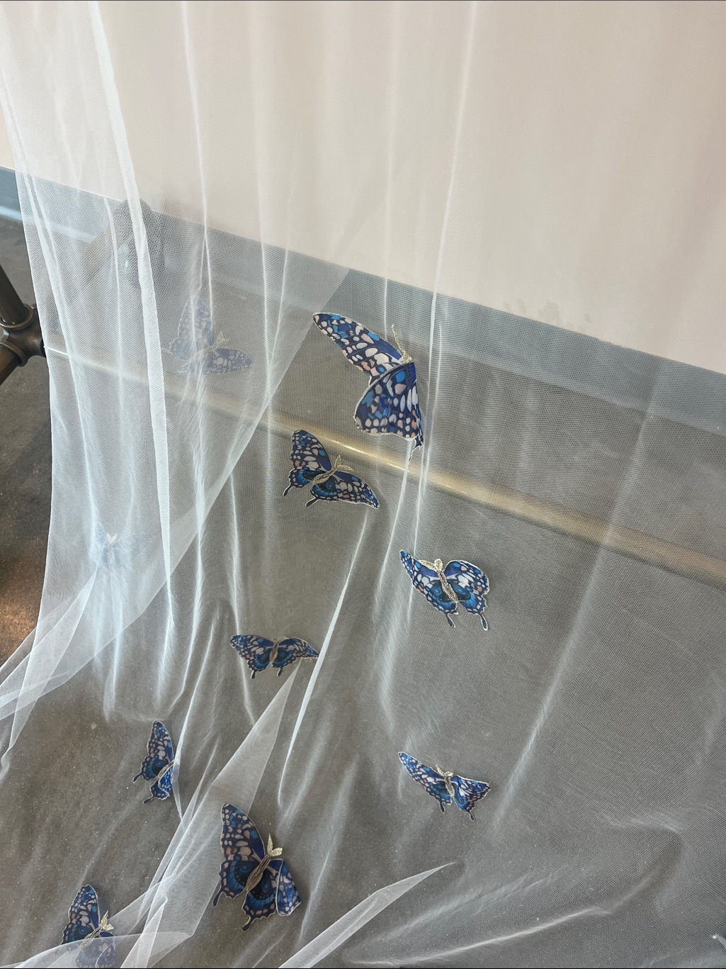 Rue De Seine ‘Papillon’ Veil — image 5 of 7